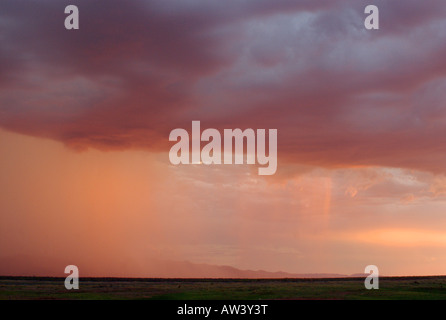 Ein schweres Gewitter fällt über Simbabwes Lake Kariba. Stockfoto