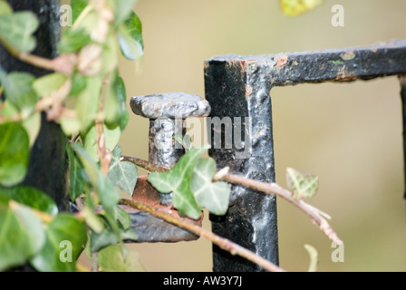 Nahaufnahme von Metalltor Scharnier Stockfoto