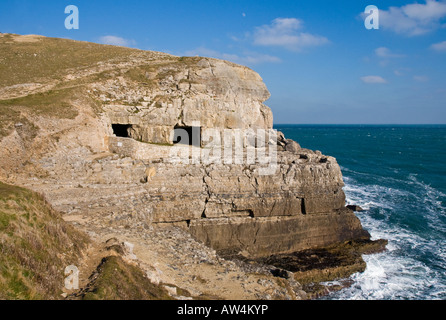 Tilly Laune Höhlen, Durlston Country Park, Dorset, England, Vereinigtes Königreich Stockfoto