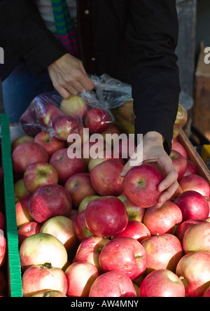 Frau Kauf Äpfel an Farmer s Market Toronto Ontario Kanada Stockfoto