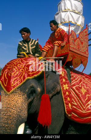 Reenactment, Kampf, episches Drama, Elefant, Samphran Elephant Boden und Zoo, Nakhon Pathom, Nakhon Pathom Provinz, Thailand, Asien Stockfoto