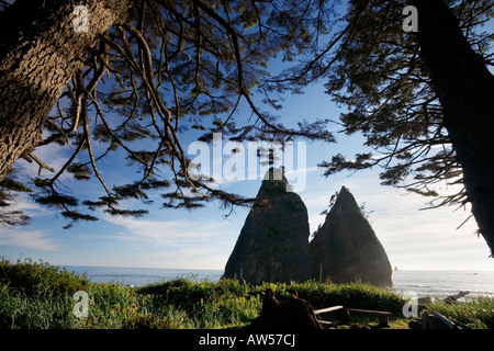 Rialto Strand, Olympic Nationalpark Stockfoto
