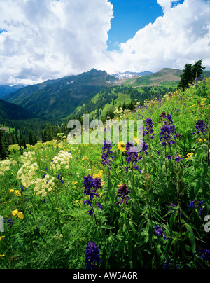 Cumberland Basin La Plata Bergen Stockfoto