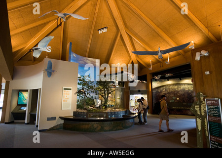 Ernest F. Coe Visitor Center in den Everglades National Park Stockfoto