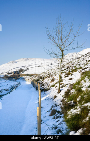 Suche entlang einer Schnees bedeckt Longdendale Trail im Peak District in Richtung Bleak House im Longdendale Tal Stockfoto