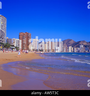 BENIDORM, COSTA BLANCA SPANIEN Stockfoto