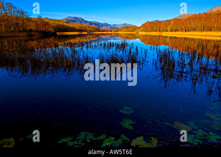 LOCH UND BEN LOMOND IM HERBST Stockfoto