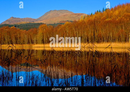 LOCHEN AUF LOCH LOMOND UND BEN LOMOND IM HERBST Stockfoto