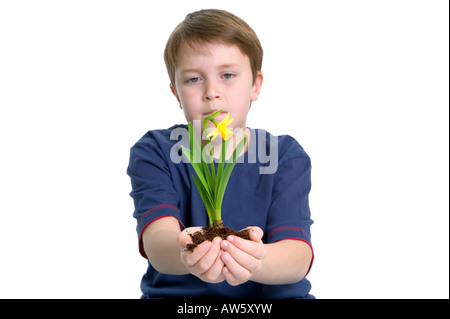 Ein Junge, der eine Narzisse, die er in der ausgestreckten Arme vor einem weißen Hintergrund Schuß hält Stockfoto