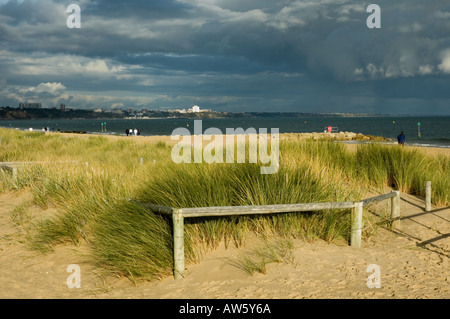 Erosionsschutz, Sandbanks Beach, Dorset, England, UK Stockfoto