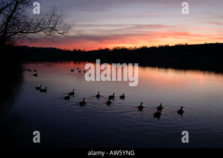 Ein Abend-Ansicht des Tittisworth Stausees, In Staffordshire England. Stockfoto