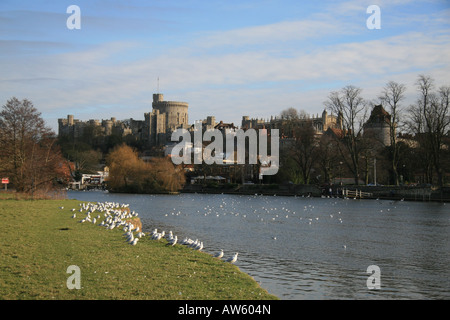 Der Rundturm betrachtet Windsor Castle aus dem nördlichen Ufer der Themse. Stockfoto