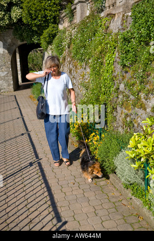 Eine Frau mittleren Alters geht ihr Hund und spricht über ihr Handy. Stockfoto