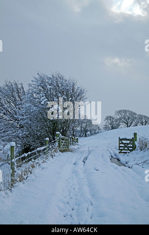 Weg zum Tor in einem schneebedeckten Feld umgeben von Laub-Bäumen Stockfoto