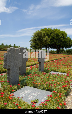 Drei Grabsteine auf dem deutschen Soldatenfriedhof in Maleme, Kreta, Griechenland. Stockfoto