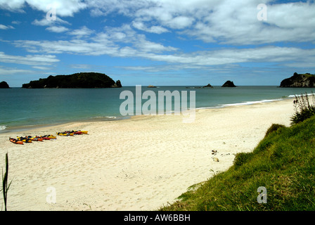 Strand in der Nähe von heißem Wasser Strand Coromandel Halbinsel Nordinsel Neuseeland Stockfoto