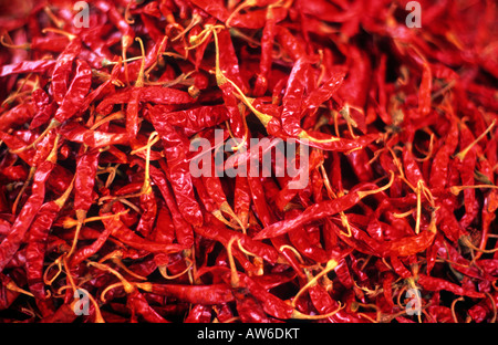 Getrocknete rote Chilischoten in Thailand Stockfoto