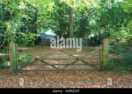 Ein hölzernes Tor führt in den Wald, mit einem Feld hinaus im Herbst.  Es gibt im Herbst Laub auf dem Boden. Stockfoto