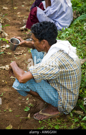 Mann aus einem Becher Tee trinken, Mundackal Estate, Kothamangalam, Kerala, Indien Stockfoto