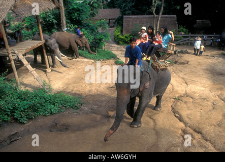 Thai Mann, mahout, Touristen, reiten Elefanten, Mae Sa Elephant Camp, Chiang Mai, Chiang Mai Province, Thailand, Südostasien, Asien Stockfoto