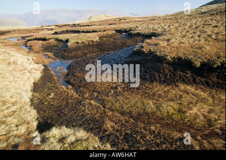 Torf-Einlagen bei 1800 Füße auf Stahl fiel im Lake District, mit erhaltenen Wald Ablagerungen in ihnen aus wärmeren Zeiten Stockfoto