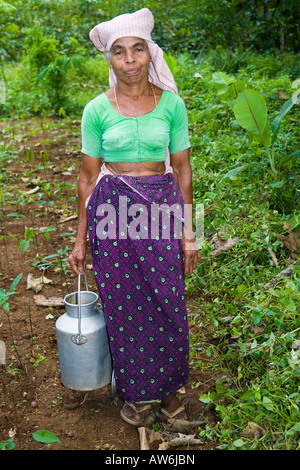 Dame mit Tee Urn, Mundackal Estate, Kothamangalam, Kerala, Indien Stockfoto