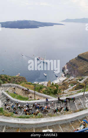 Touristen fahren Esel bis zu der Stadt Fira auf der Insel Santorin in Griechenland. Stockfoto
