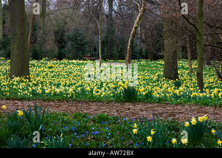 Die Rückseiten Cambridge.  Cambridgeshire. East Anglia. VEREINIGTES KÖNIGREICH. Stockfoto