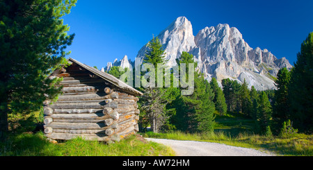 Passo Delle Erbe, Trentino-Alto Adige, Italien. Blick entlang Waldweg zum Gipfel Sas de Putia, Blockhaus im Vordergrund. Stockfoto