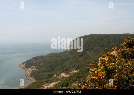 Hastings Country Park im Frühjahr Stockfoto