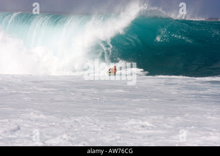 SURFEN DIE MEISTERSCHAFT "PIPELINE" IN WAIMEA BEACH, NORTH SHORE, INSEL OAHU, HAWAII Stockfoto