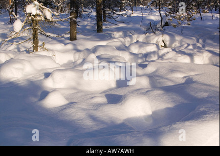 Spuren von Nahrungssuche Rentieren im Norden Finnlands im Winter in der Nähe von Saariselkä Stockfoto