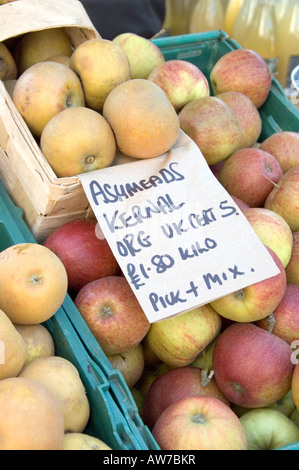 Ashmeads Kernals Äpfel auf Stall in Islington Bauern Markt London England UK Stockfoto