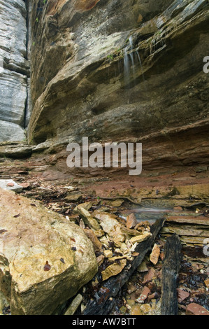 Wasserfall in der Nähe der natürlichen Brücke Lost Valley Trail Buffalo National River-Arkansas Stockfoto