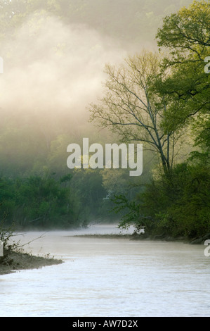 Sunrise durch Nebel von Red Bluff Meile 102 auf der Buffalo River Buffalo National River Arkansas betrachtet Stockfoto