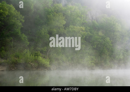 Morgennebel auf den Buffalo River bei Meile 141 Buffalo National River Arkansas Stockfoto