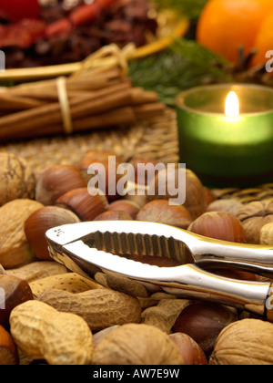 Hasel (Corylus maxima), Walnuss (Juglans regia) und Erdnuss (Arachis hypogaea) mit Nussknacker Stockfoto