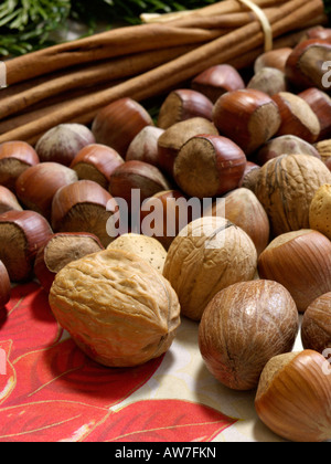 Hasel (Corylus maxima) und Englisch Walnuss (Juglans regia) Stockfoto