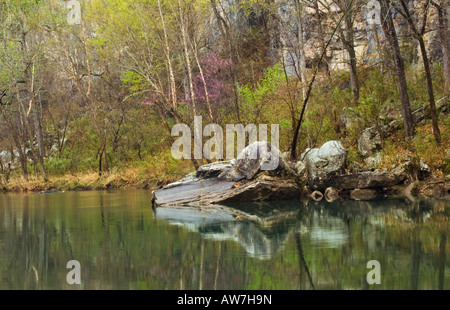 Szenen auf Kyles Landung in der Nähe von Bee Bluff Buffalo River Buffalo National River Arkansas Stockfoto