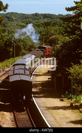 UK England Isle Of Wight Steam Railway Zug am Bahnsteig Wooton Stockfoto