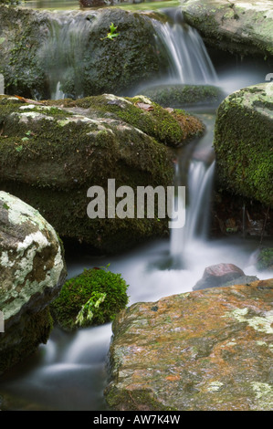 Wasserfälle bei Indian Creek Ponca Wildnis Buffalo National River Arkansas Stockfoto