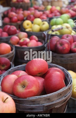 USA Sperryville VA A Vielzahl von Äpfel zum Verkauf an einem Stand am Straßenrand Stockfoto