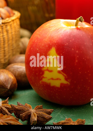 Orchard Apfel (Malus x domestica) mit Weihnachtsbaum Stockfoto