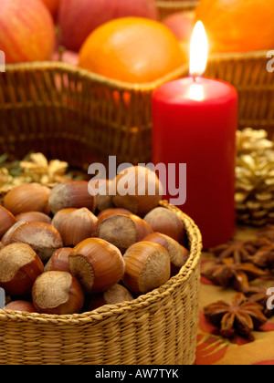 Hasel (Corylus maxima) Stockfoto