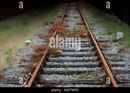 Bahngleis ins Nirgendwo Stockfoto