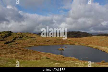 Wanderer, die Weitergabe Lily Tarn Loughrigg fiel, in der Nähe von Ambleside, Nationalpark Lake District, Cumbria, UK Stockfoto