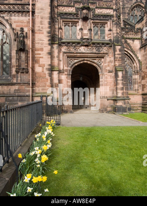 Chester Cathedral Seiteneingang und Narzissen Stockfoto