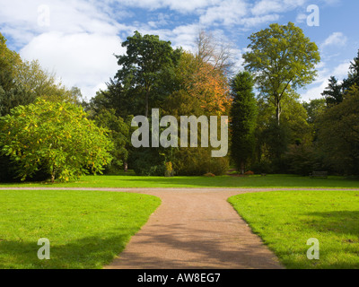 Mischung aus Herbst Bäume in Seide Holz Westonbirt Tetbury UK Stockfoto
