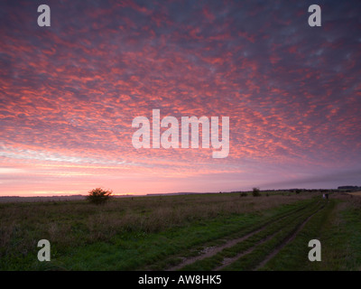 Die Ridgeway Langstrecken Weg entlang der Boader von Berkshire und Oxfordshire in der Nähe von West Ilsley UK Stockfoto