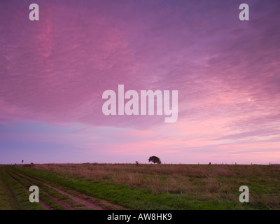 Die Ridgeway Langstrecken Weg entlang der Boader von Berkshire und Oxfordshire in der Nähe von West Ilsley UK Stockfoto